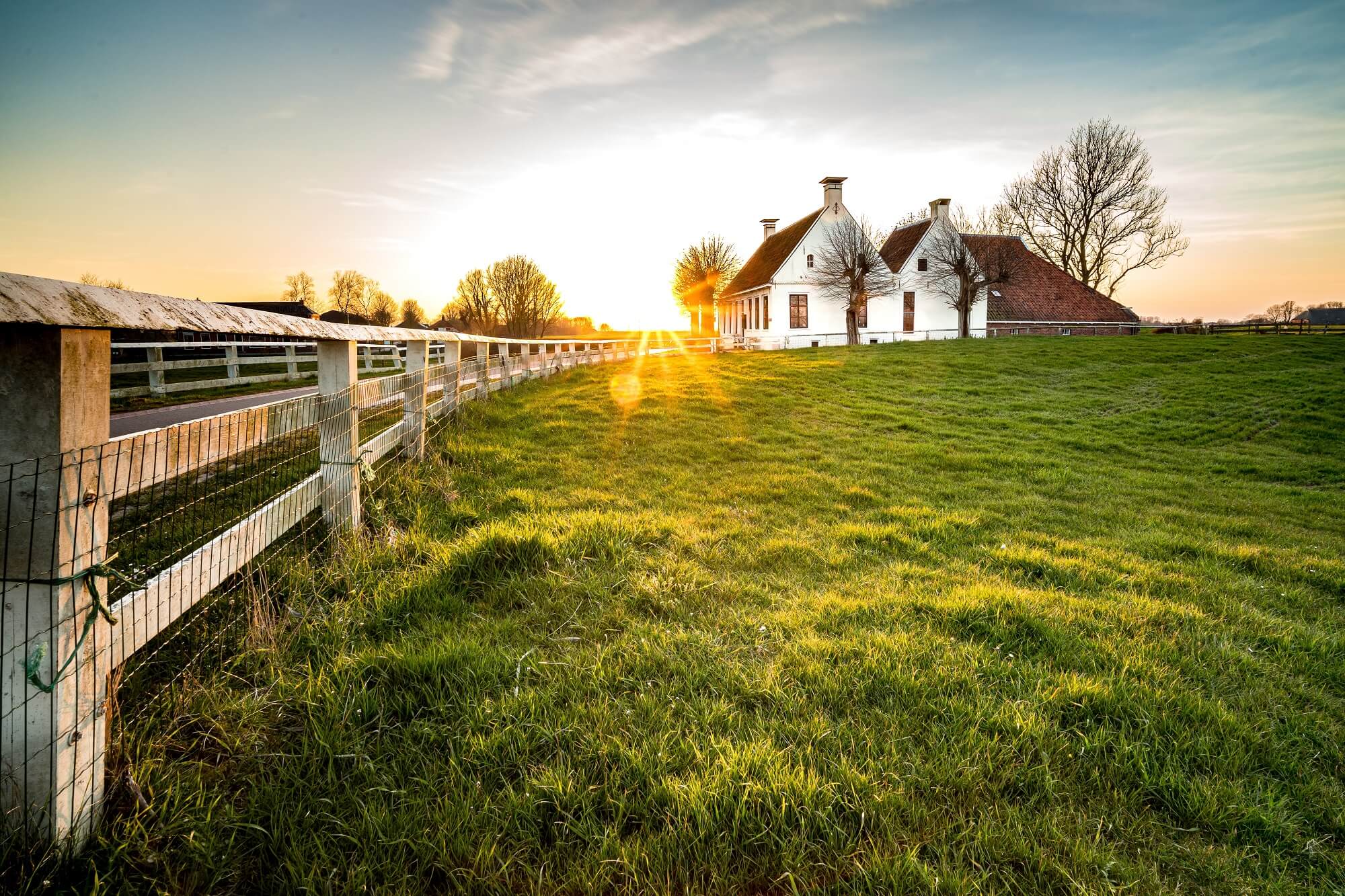 Get Your House Territory Fenced, Beautifully And Economically!